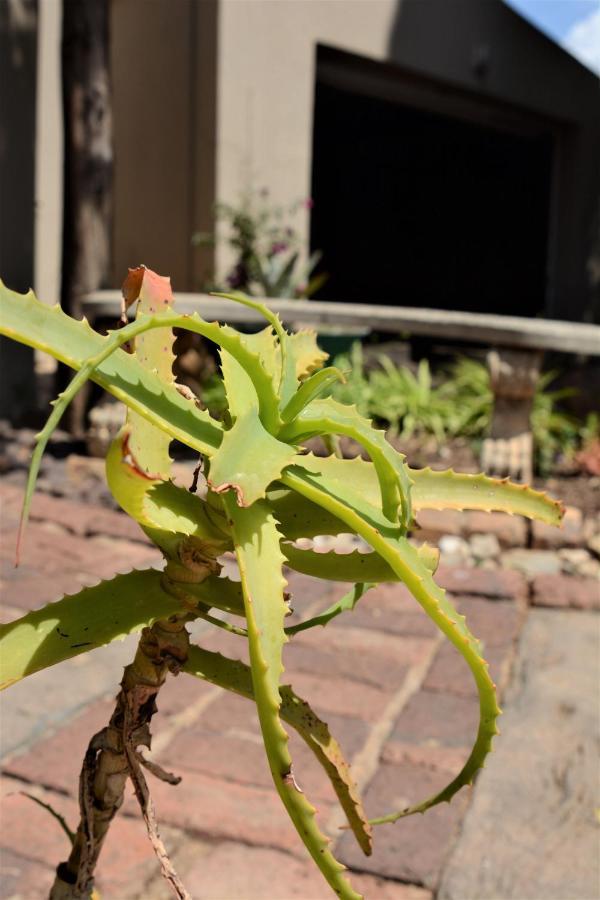 Pta East Guest House Pretoria-Noord Buitenkant foto